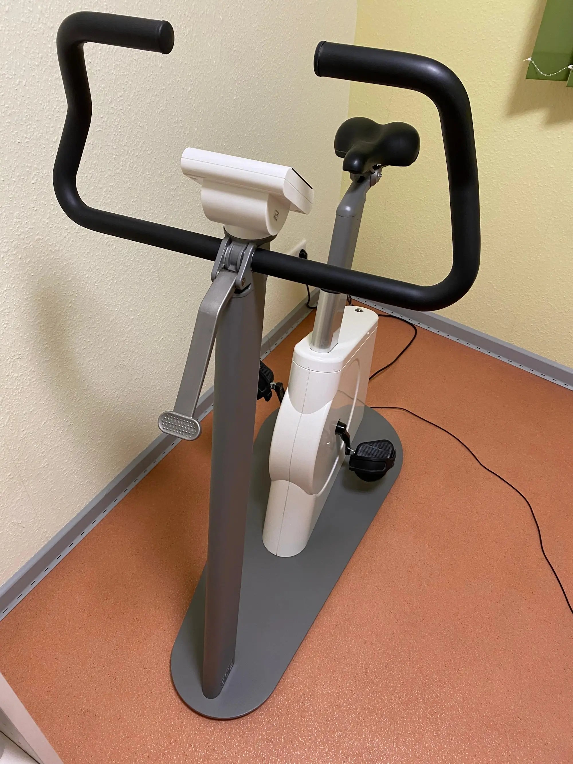 Gebrauchtes Ergometer Lode Corival cpet in Frontansicht