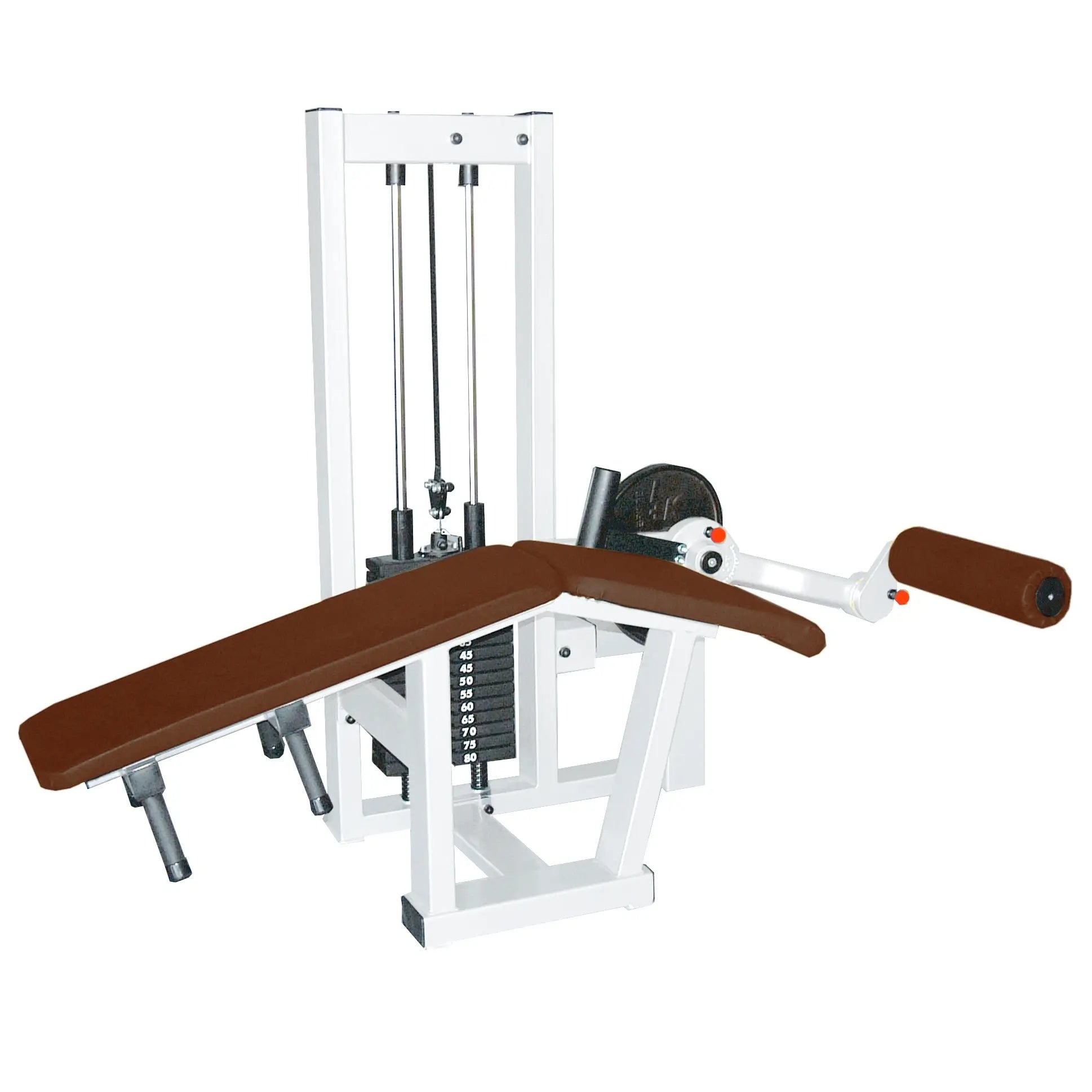 Liegende Beinbeuger-Maschine SQ mit braunem Polster und Steckgewicht