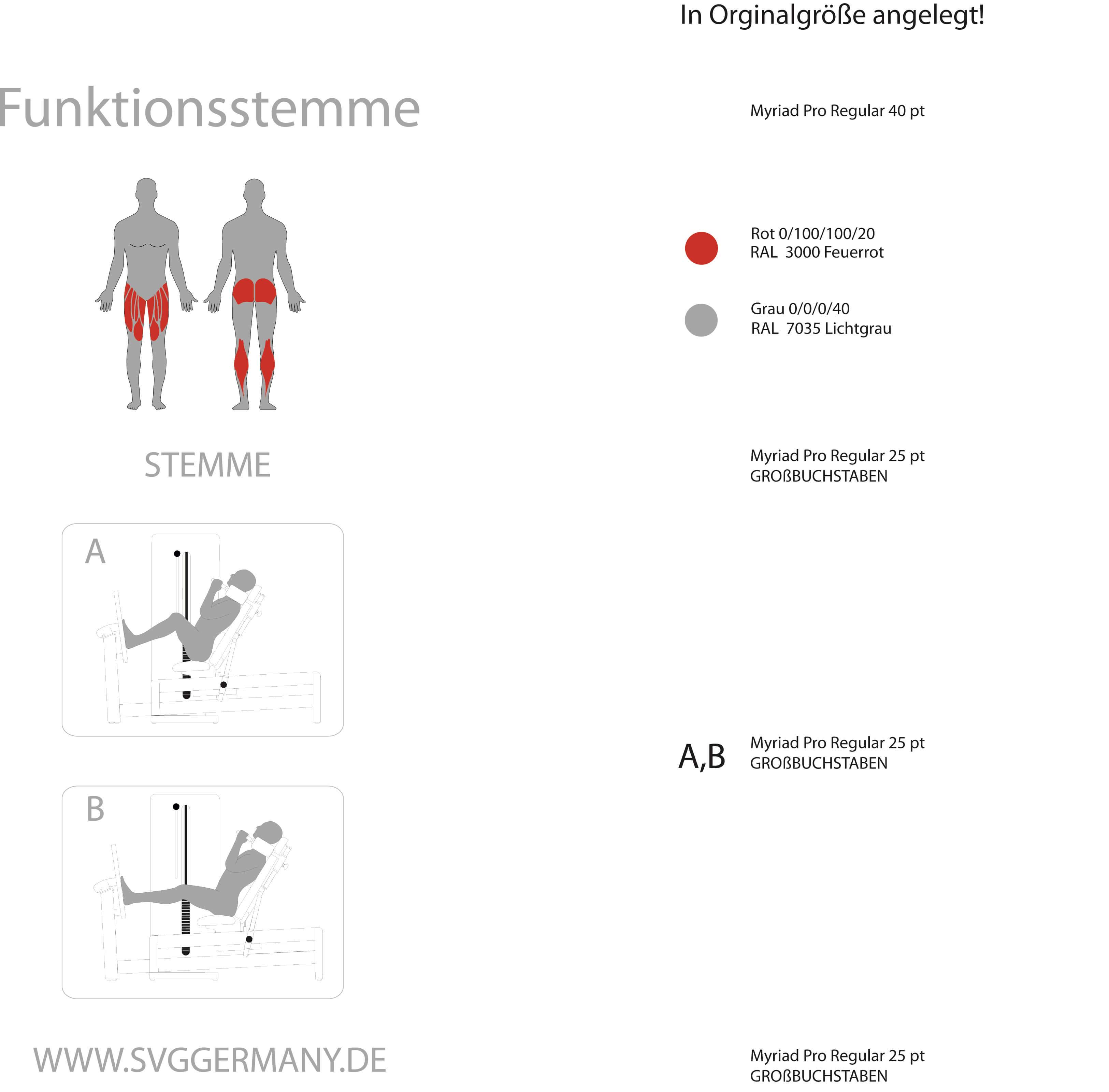 Trainierte Muskelgruppen bei der Funktionsstemme Reha-Line 2.0