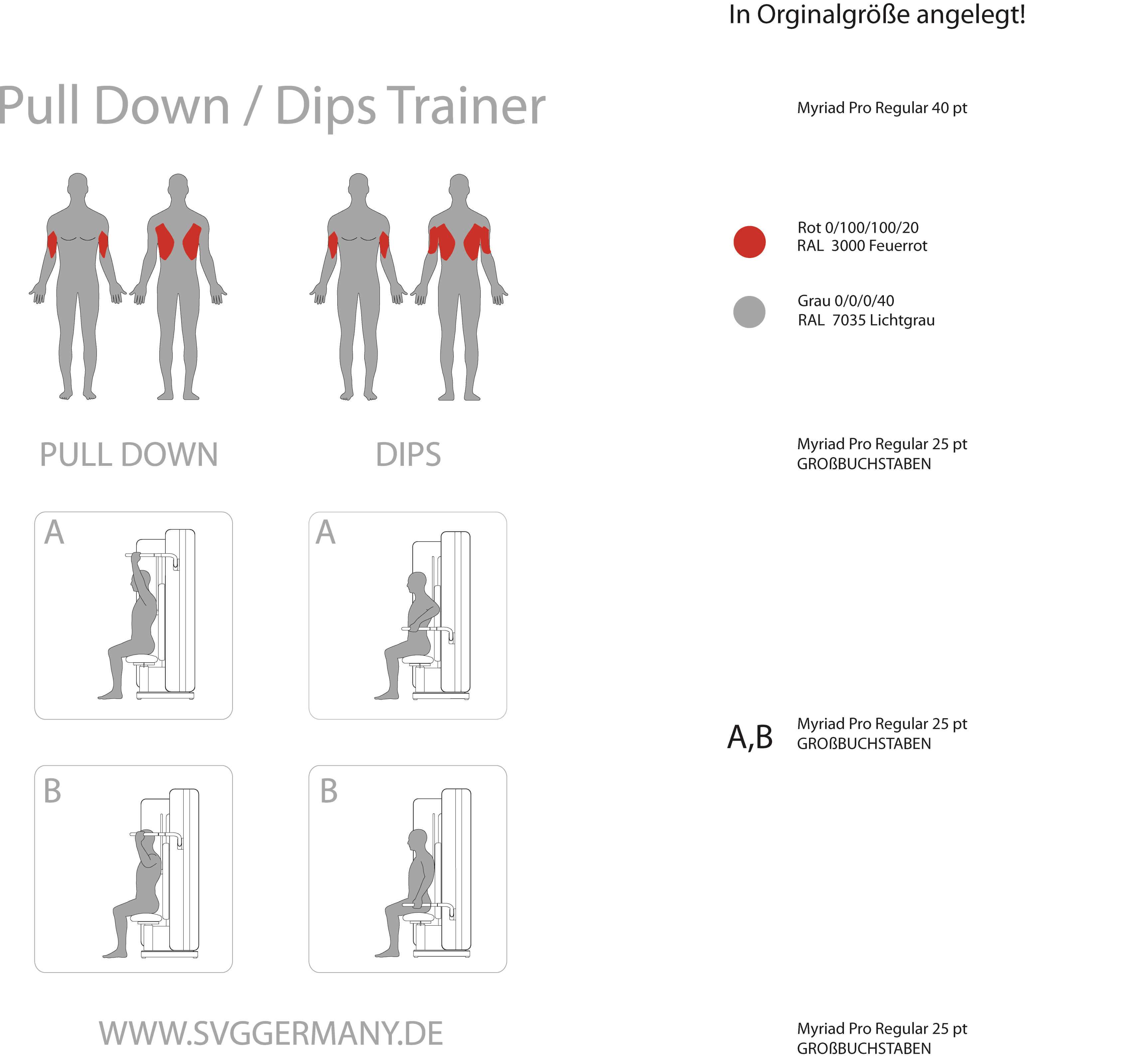 Trainierte Muskelgruppen bei Dips und Latzug an der Maschine Reha-Line 2.0