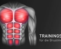Trainingsanleitung für die Brustmuskulatur