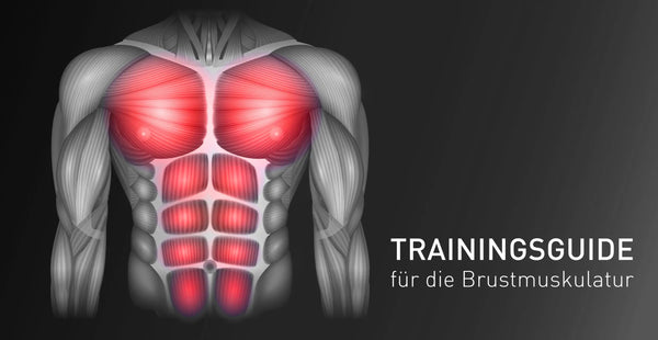 Trainingsanleitung für die Brustmuskulatur