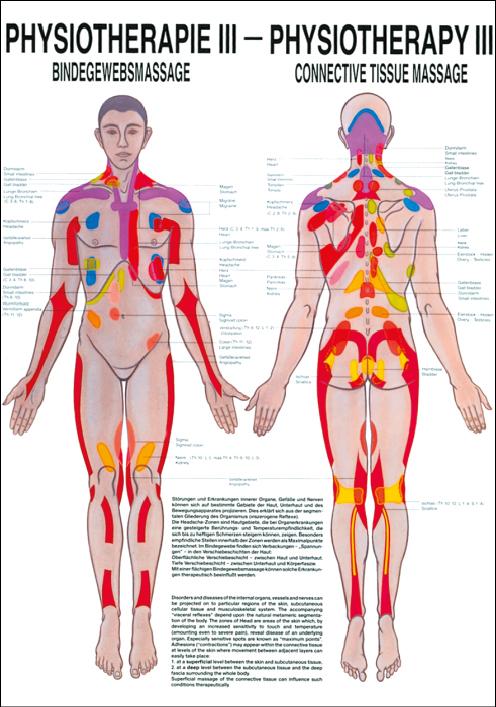 Physiotherapie III: Bindegewebsmassage, Physiotherapie - jetzt bestellen im MEDITECH24 Online Shop