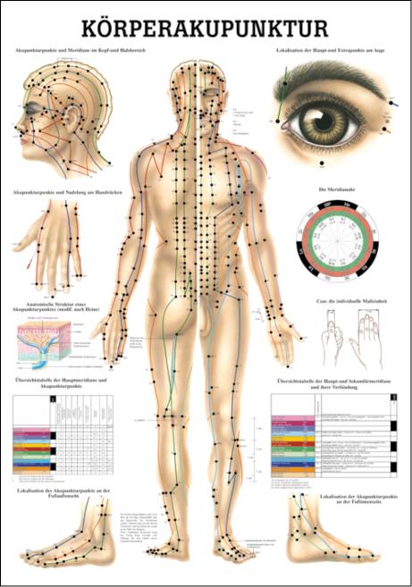Körperakupunktur, Akupunktur - jetzt bestellen im MEDITECH24 Online Shop