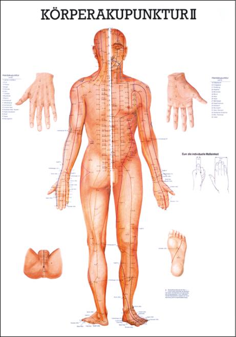 Körperakupunktur II, Akupunktur - jetzt bestellen im MEDITECH24 Online Shop