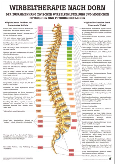 Wirbeltherapie nach Dorn, Dorntherapie - jetzt bestellen im MEDITECH24 Online Shop