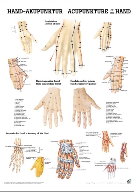 Handakupunktur, Akupunktur - jetzt bestellen im MEDITECH24 Online Shop