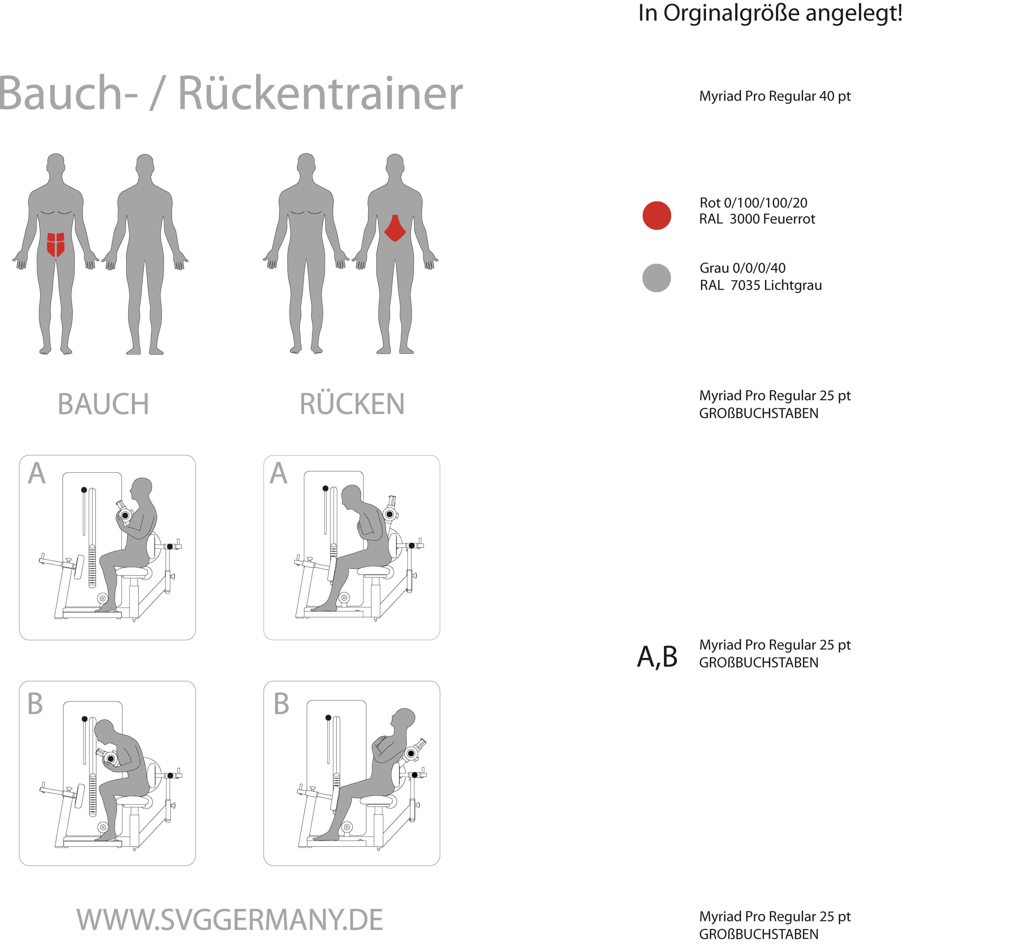 Trainierte Muskelgruppen des Rücken- und Bauchtrainers Reha-Line 2.0