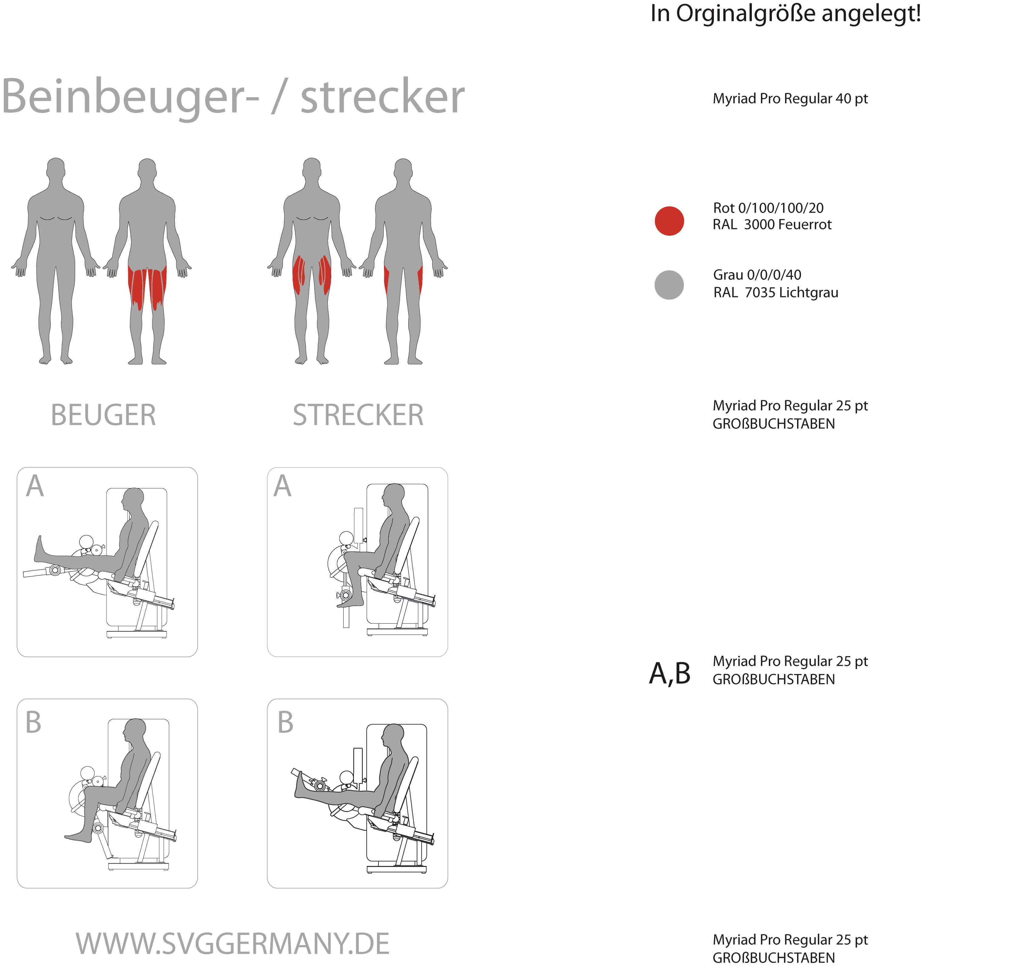 Trainierte Muskelgruppen an der Beinbeuger- und Strecker-Maschine Reha-Line 2.0