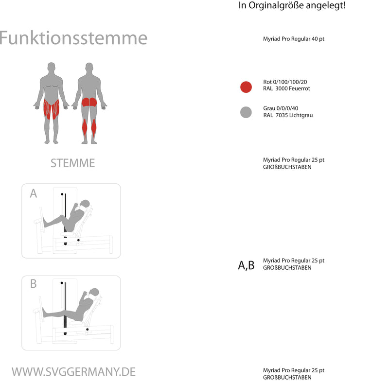 Funktionsstemme Reha-Line 2.0 sitzend bis nahezu liegend – das Fitnessgerät für den Muskelaufbau an den Beinen, Hersteller: SVG, ideal für das Training im Fitnessstudio, die Physiotherapie oder auch als Heimtrainer für das Home Gym Zuhause, Kraftgerät - jetzt bestellen im MEDITECH24 Online Shop