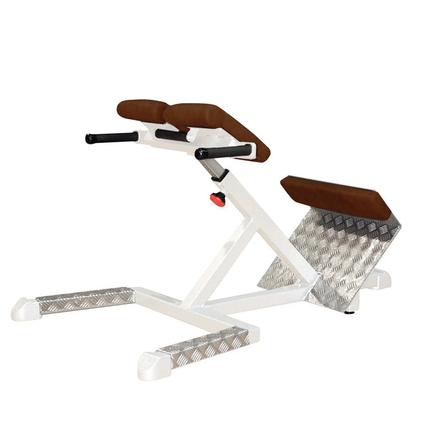 Rückenstrecker Gerät SQ für Gym